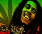 384 - Bob Marley Vol. 01 - 54 Músicas