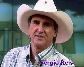 388 - Sérgio Reis Vol. 01 - 71 Músicas